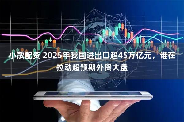 小散配资 2025年我国进出口超45万亿元,谁在拉动超预期外贸大盘